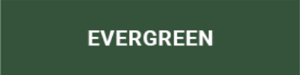 Evergreen